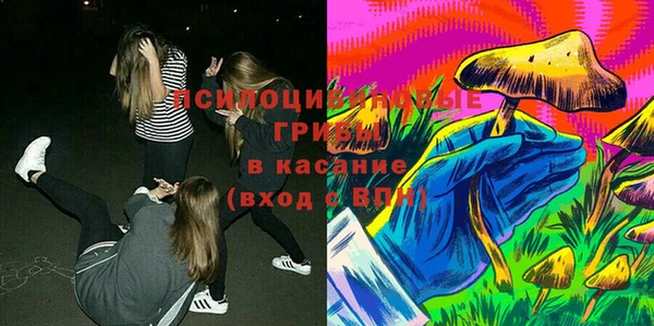 твердый Горнозаводск
