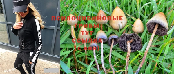 бутират Горняк