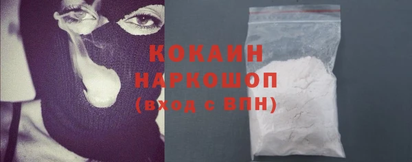 шишки Горно-Алтайск