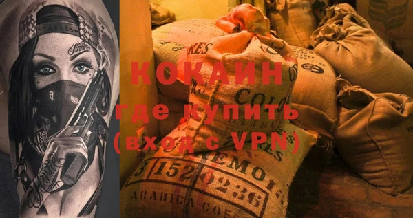 шишки Горно-Алтайск