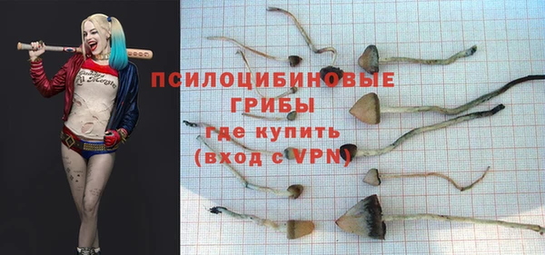 шишки Горно-Алтайск
