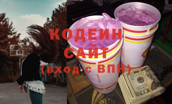 шишки Горно-Алтайск