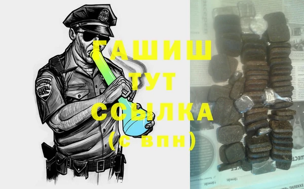 шишки Горно-Алтайск