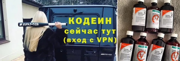 шишки Горно-Алтайск
